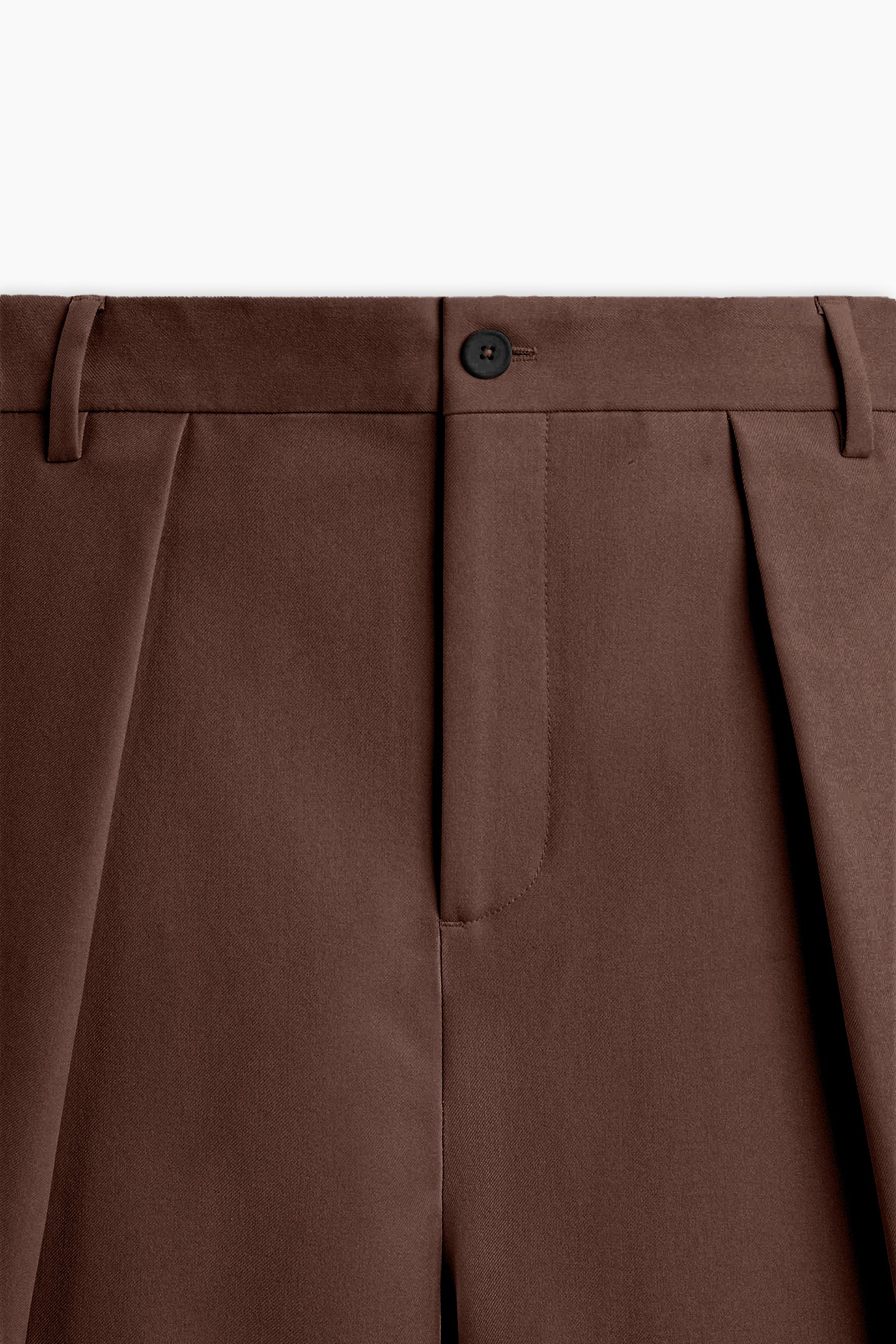 Brown Pleated Wide Leg Pants